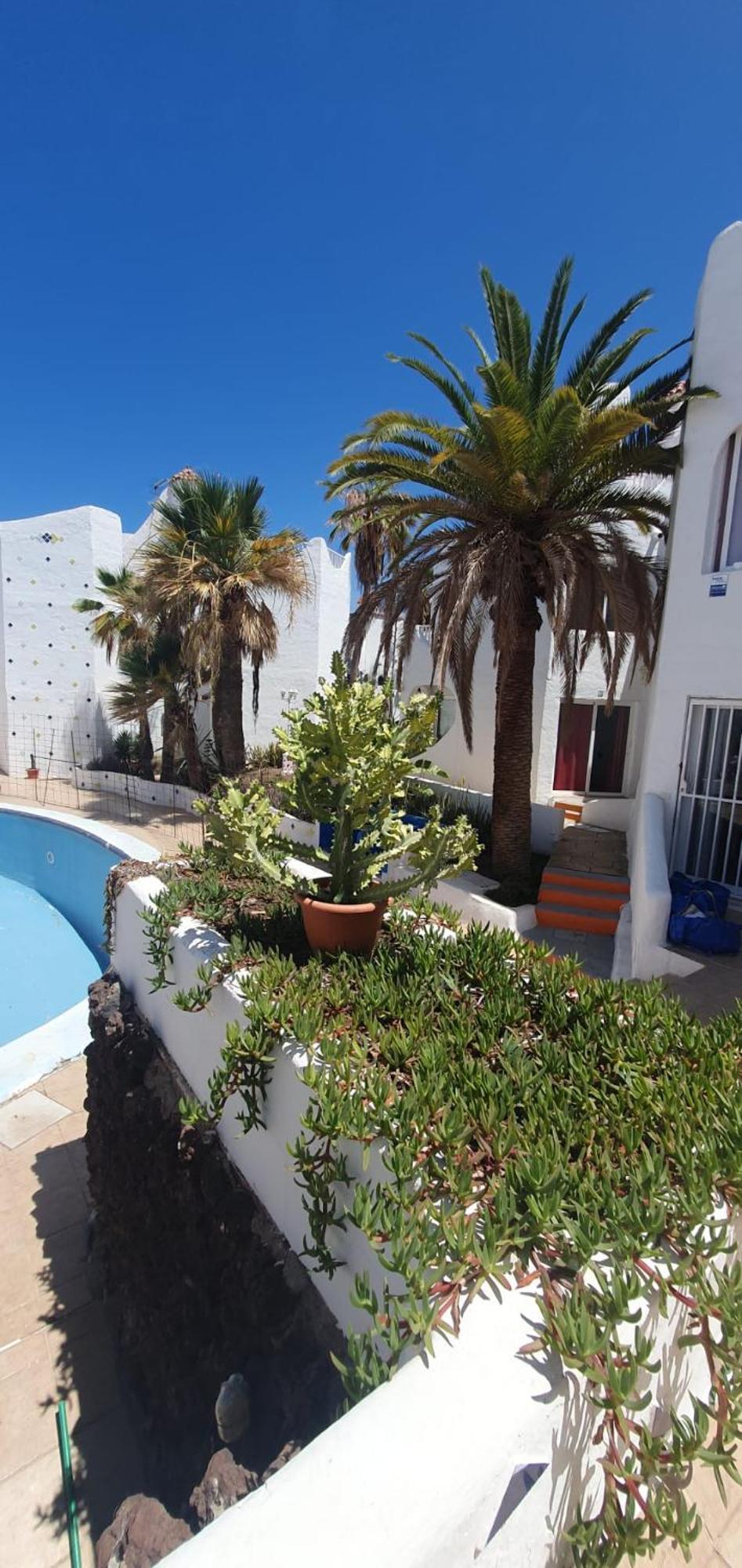 Wonderful White Appartament In Las Tortugas Playa de las Americas  Bagian luar foto
