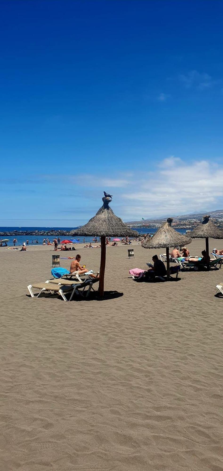 Wonderful White Appartament In Las Tortugas Playa de las Americas  Bagian luar foto