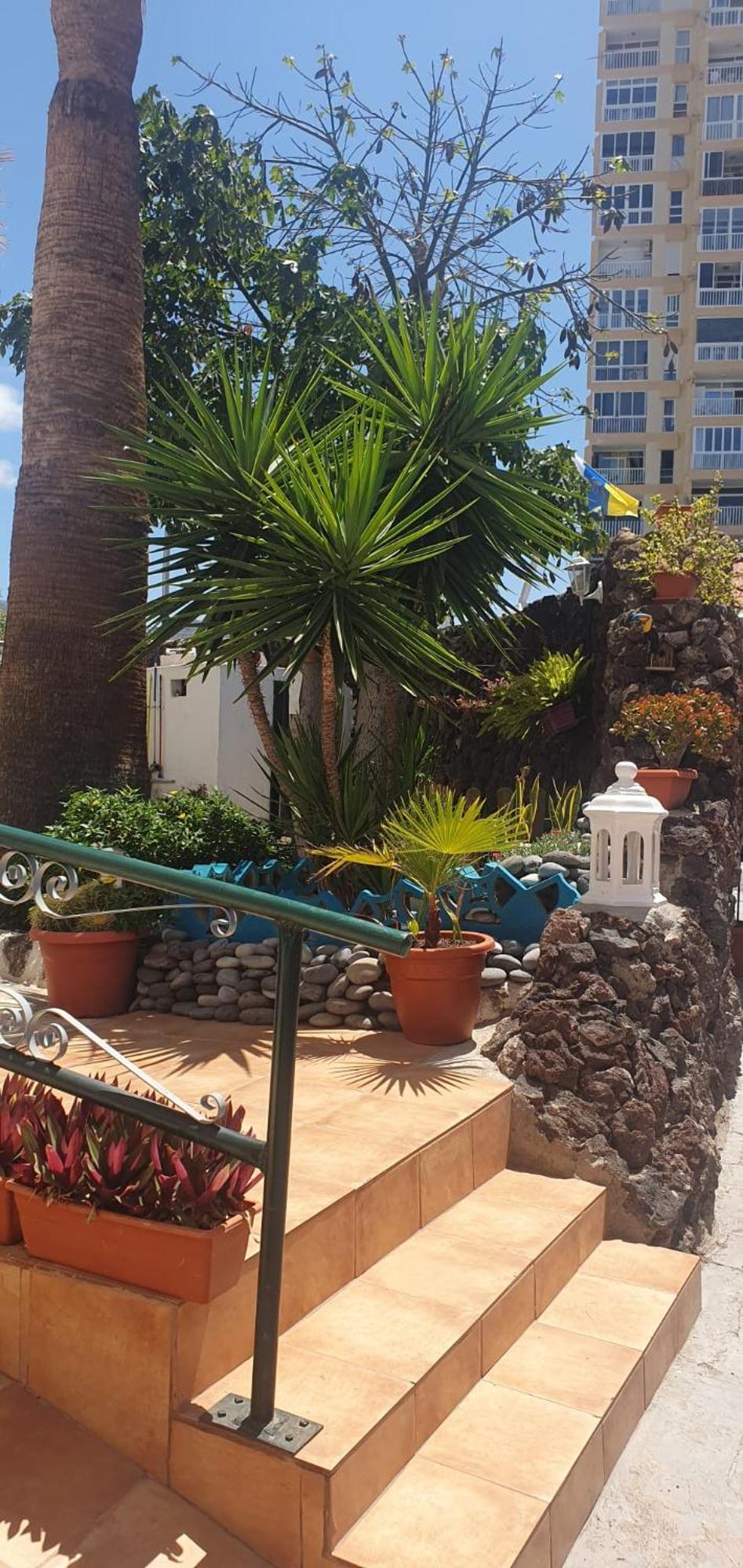 Wonderful White Appartament In Las Tortugas Playa de las Americas  Bagian luar foto