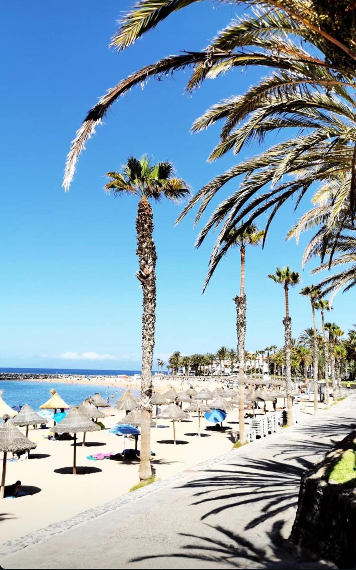 Wonderful White Appartament In Las Tortugas Playa de las Americas  Bagian luar foto