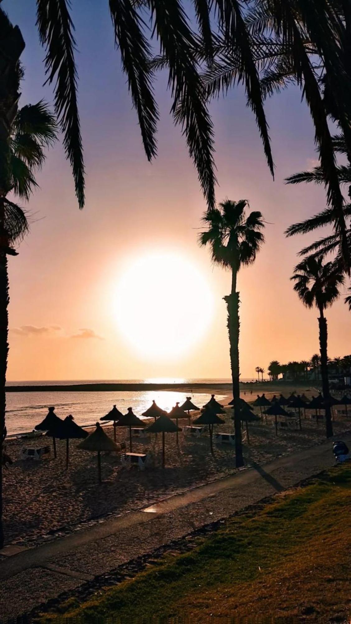 Wonderful White Appartament In Las Tortugas Playa de las Americas  Bagian luar foto